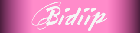 BIDIIP