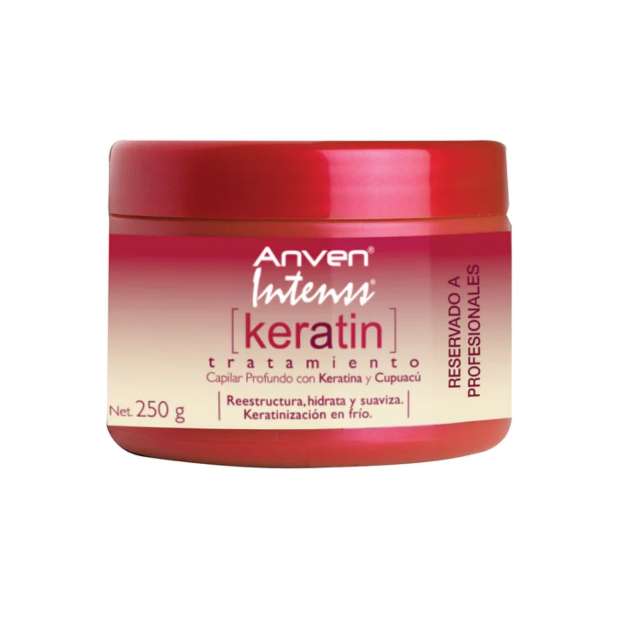 TRATAMIENTO KERATIN ANVEN INTENSS 250G